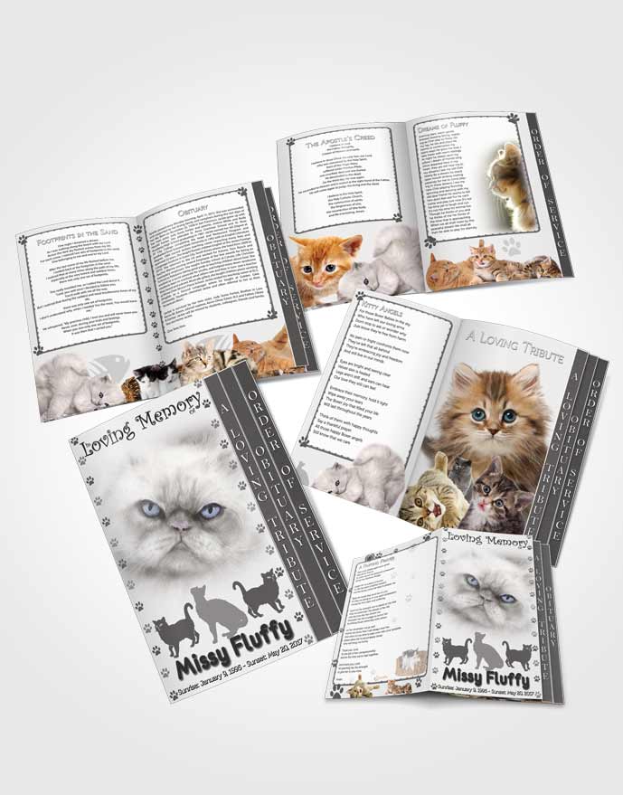 4 Page Grad Obituary Template Brochure Black and White Fluffy Cat