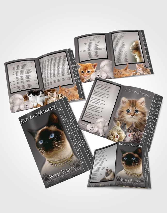 4 Page Grad Obituary Template Brochure Black and White Fluffy Kitty