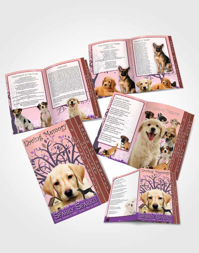 4 Page Grad Obituary Template Brochure Blissful Doggy Heaven