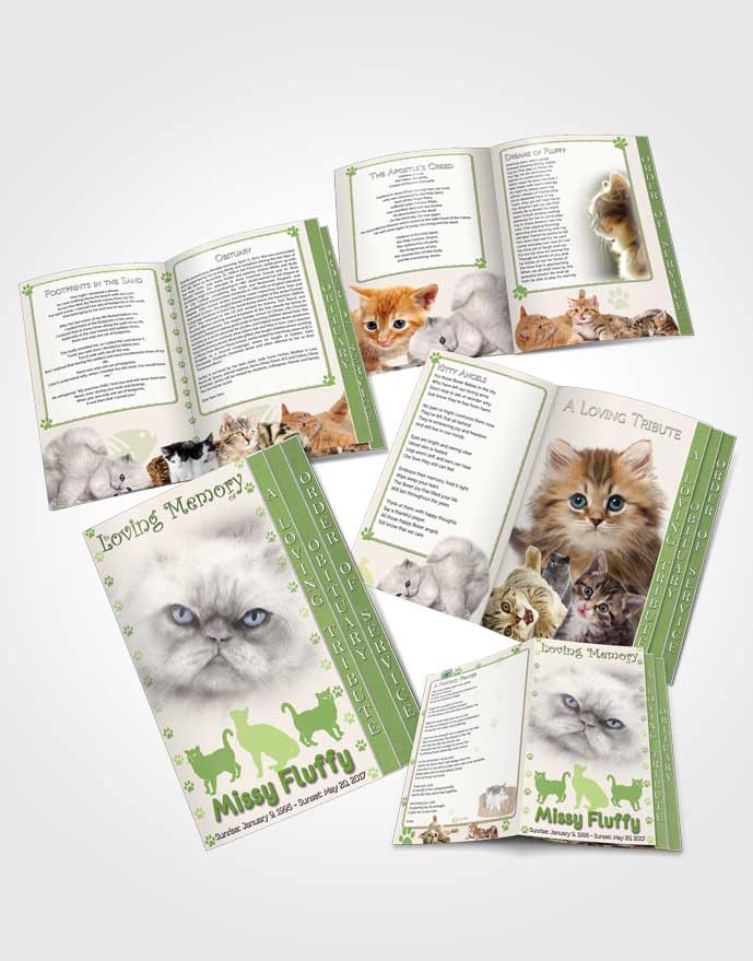 4 Page Grad Obituary Template Brochure Emerald Fluffy Cat