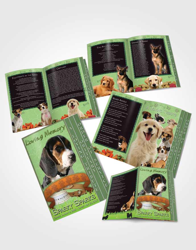 4 Page Grad Obituary Template Brochure Emerald Sparky the Dog