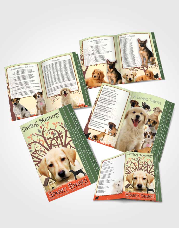 4 Page Grad Obituary Template Brochure Eternal Doggy Heaven