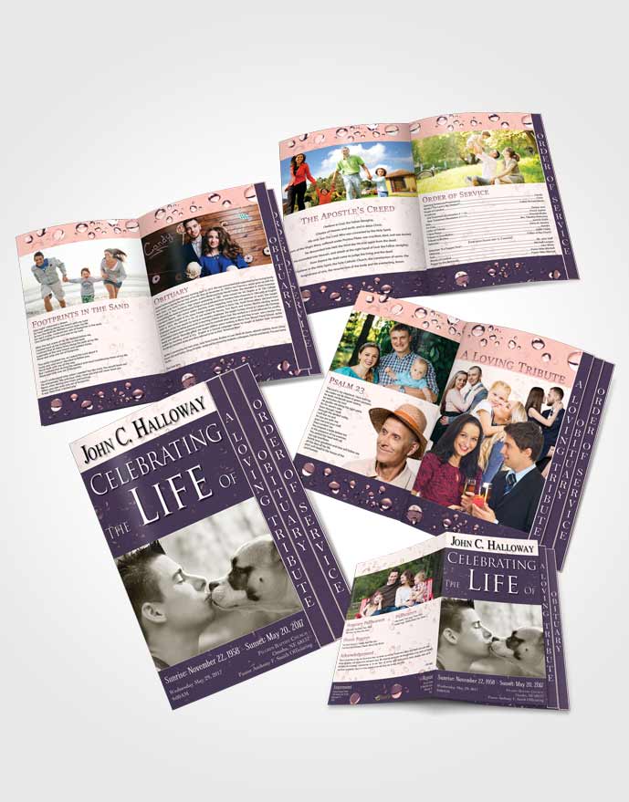 4 Page Grad Obituary Template Brochure Evening Enchantment