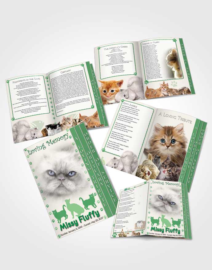 4 Page Grad Obituary Template Brochure Forest Fluffy Cat
