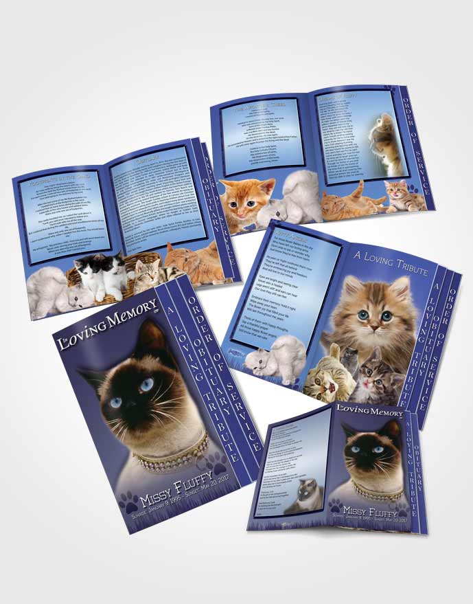 4 Page Grad Obituary Template Brochure Glowing Blue Fluffy Kitty