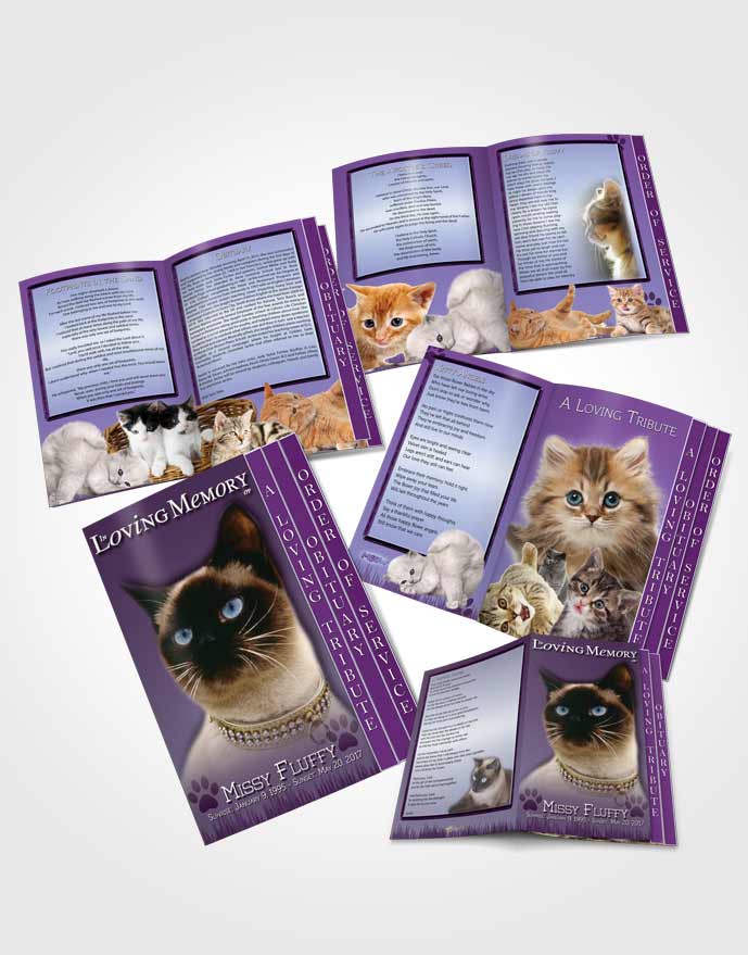 4 Page Grad Obituary Template Brochure Lavender Fluffy Kitty