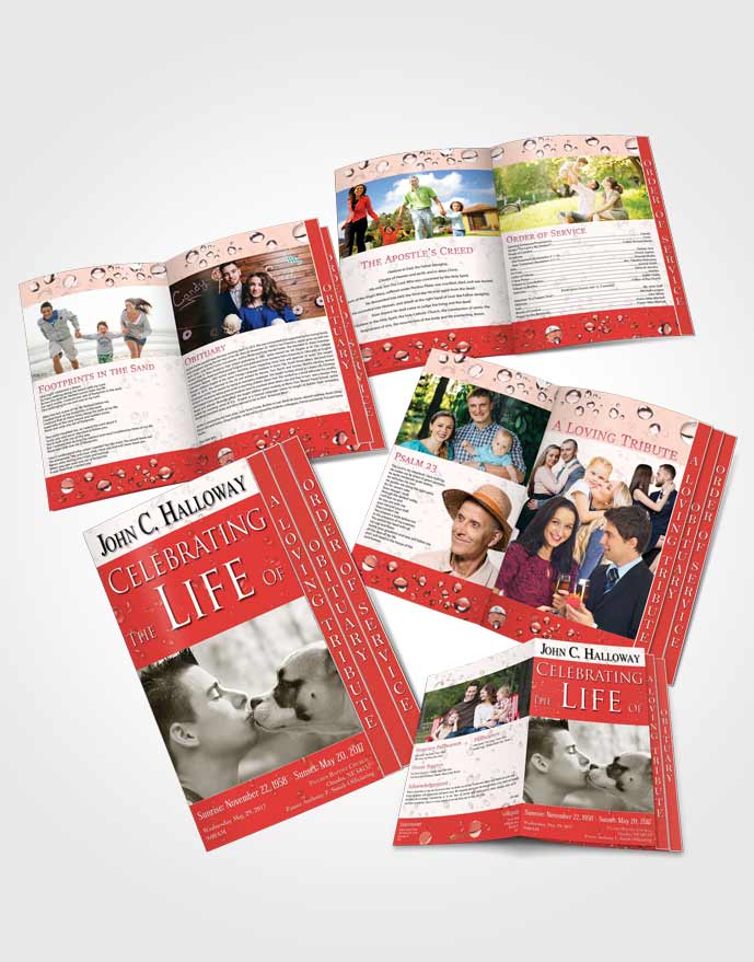 4 Page Grad Obituary Template Brochure Lovely Enchantment