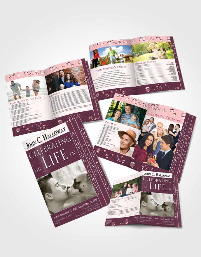 4 Page Grad Obituary Template Brochure Morning Enchantment