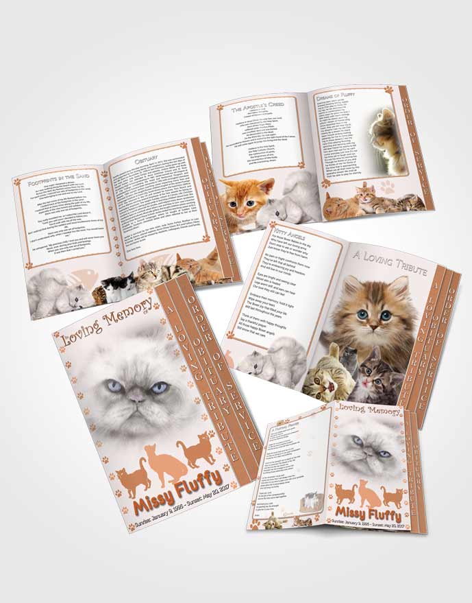 4 Page Grad Obituary Template Brochure Peachy Fluffy Cat