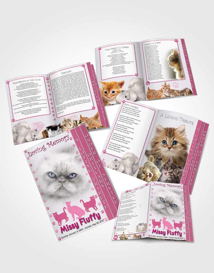 4 Page Grad Obituary Template Brochure Pink Fluffy Cat