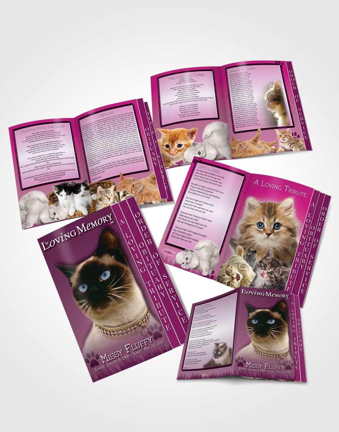 4 Page Grad Obituary Template Brochure Pinky Fluffy Kitty