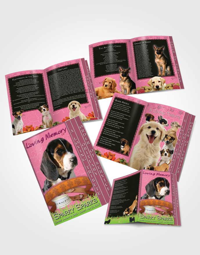 4 Page Grad Obituary Template Brochure Pinky Sparky the Dog