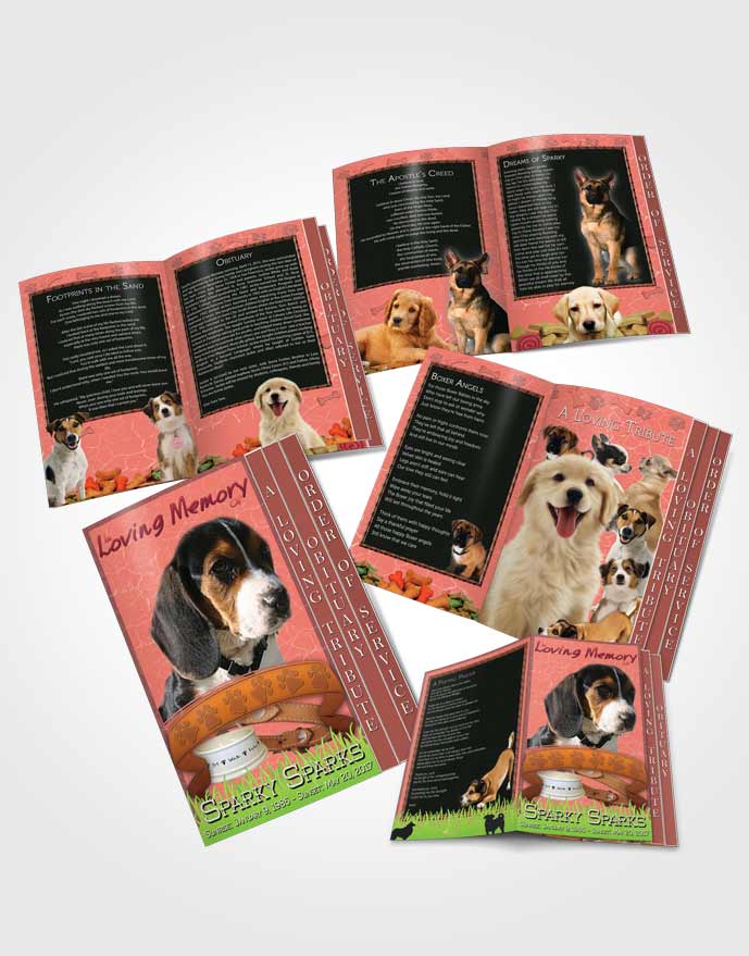 4 Page Grad Obituary Template Brochure Ruby Sparky the Dog