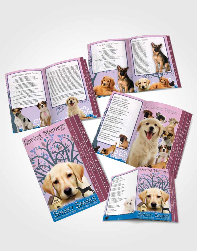 4 Page Grad Obituary Template Brochure Serenity Doggy Heaven