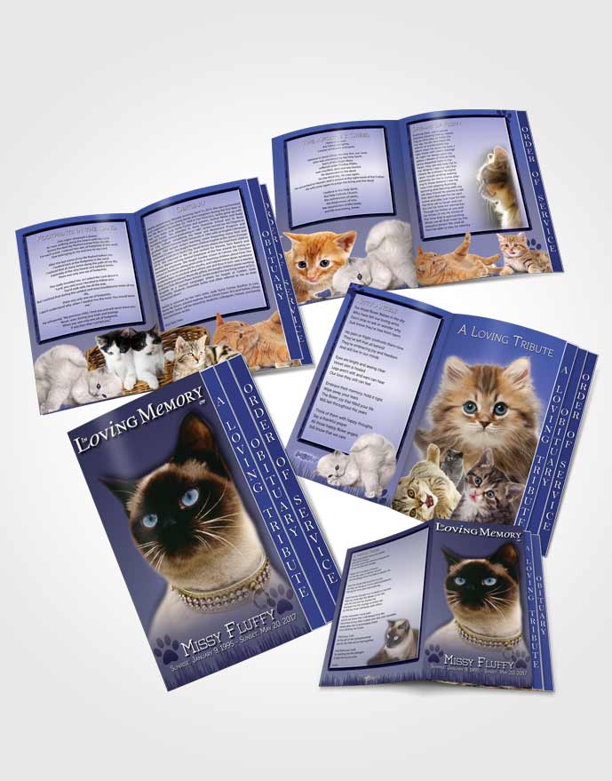 4 Page Grad Obituary Template Brochure Sky Blue Fluffy Kitty