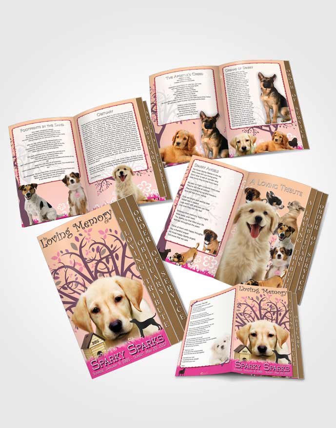 4 Page Grad Obituary Template Brochure Sparkling Doggy Heaven