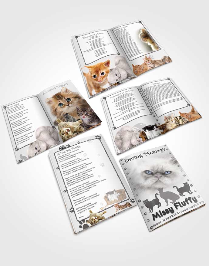 Booklet Memorial Folder Black and White Fluffy Cat