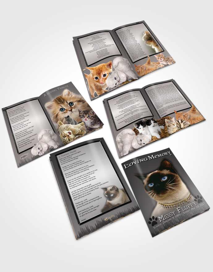 Booklet Memorial Folder Black and White Fluffy Kitty