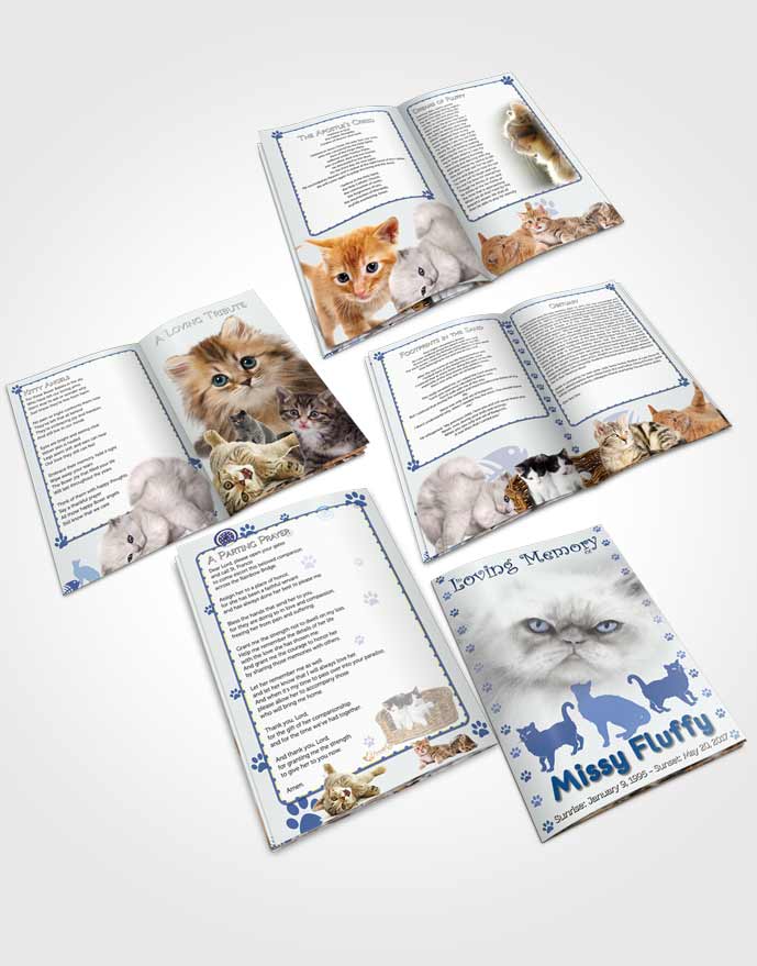 Booklet Memorial Folder Blue Fluffy Cat