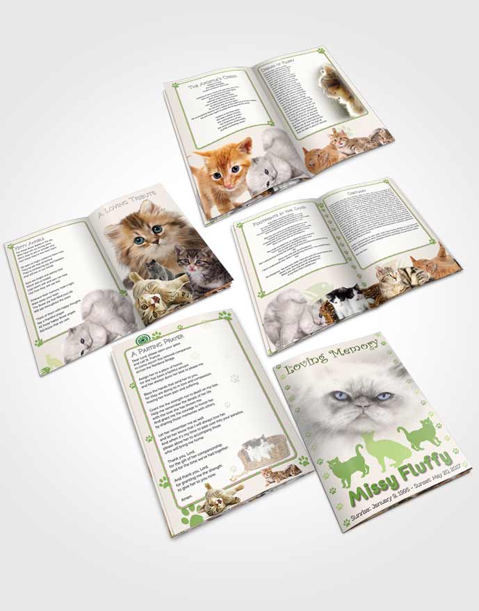 Booklet Memorial Folder Emerald Fluffy Cat