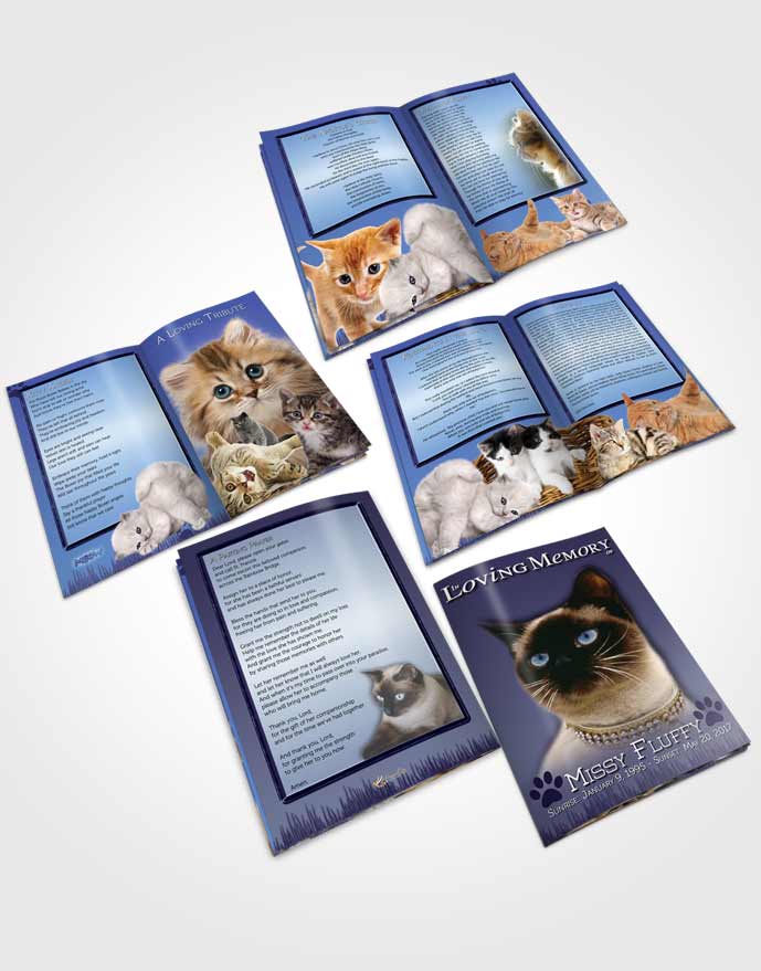 Booklet Memorial Folder Glowing Blue Fluffy Kitty