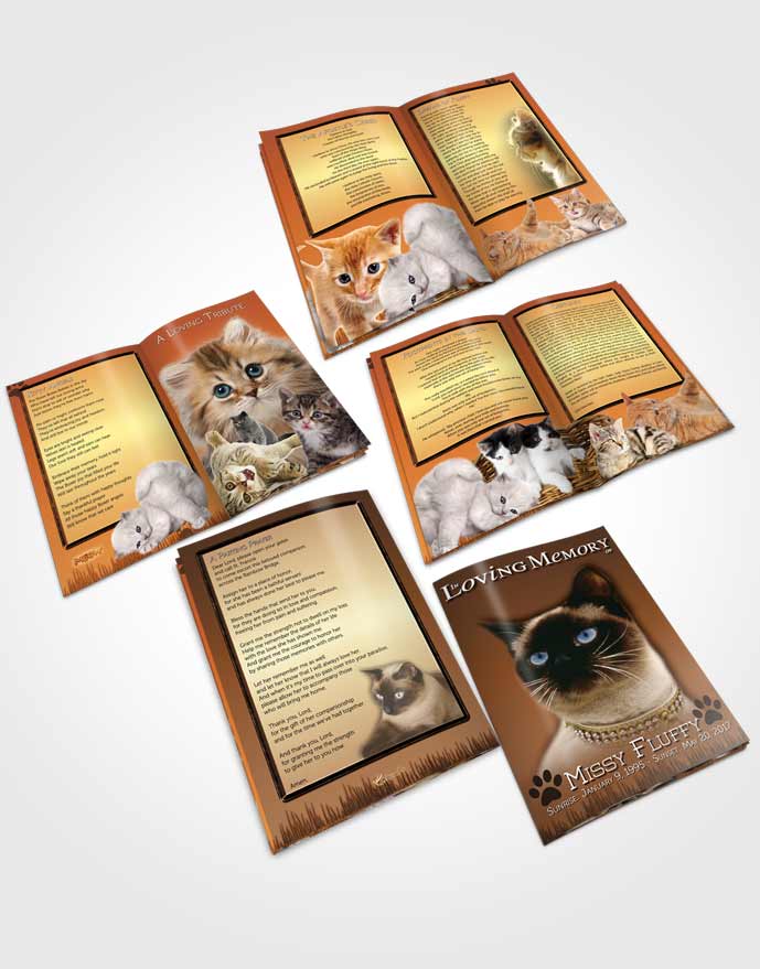 Booklet Memorial Folder Golden Fluffy Kitty