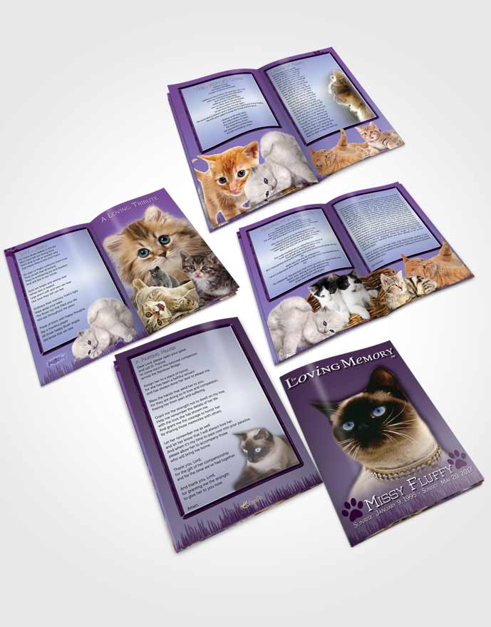 Booklet Memorial Folder Lavender Fluffy Kitty