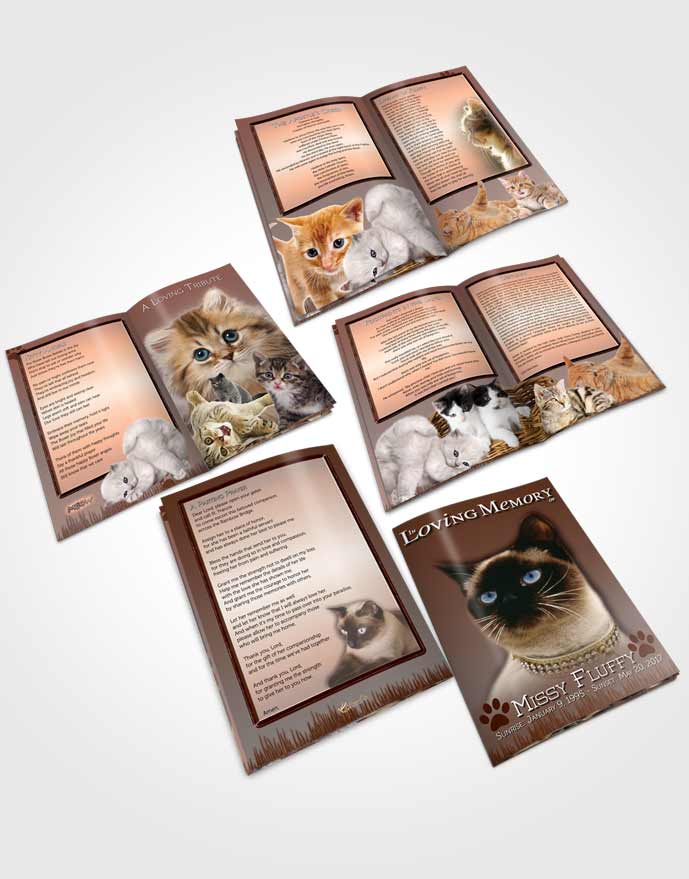 Booklet Memorial Folder Misty Peach Fluffy Kitty