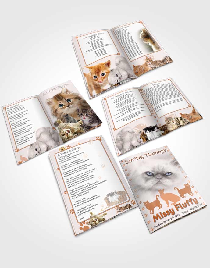 Booklet Memorial Folder Peachy Fluffy Cat