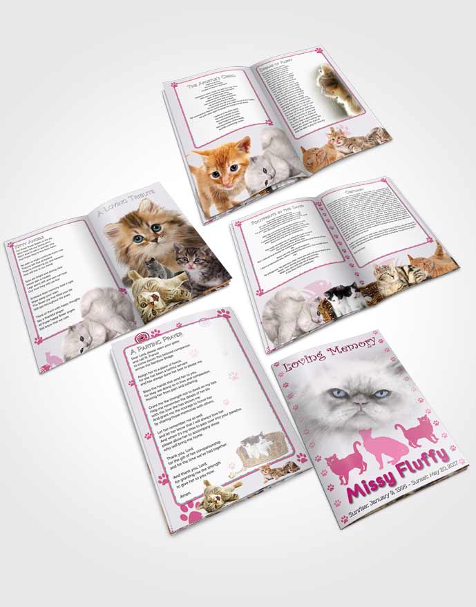 Booklet Memorial Folder Pink Fluffy Cat