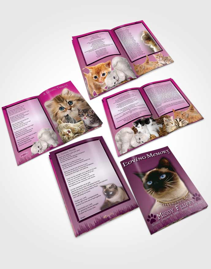 Booklet Memorial Folder Pinky Fluffy Kitty