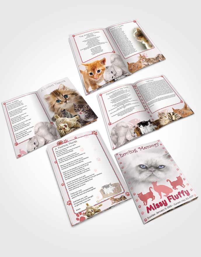 Booklet Memorial Folder Rosy Fluffy Cat