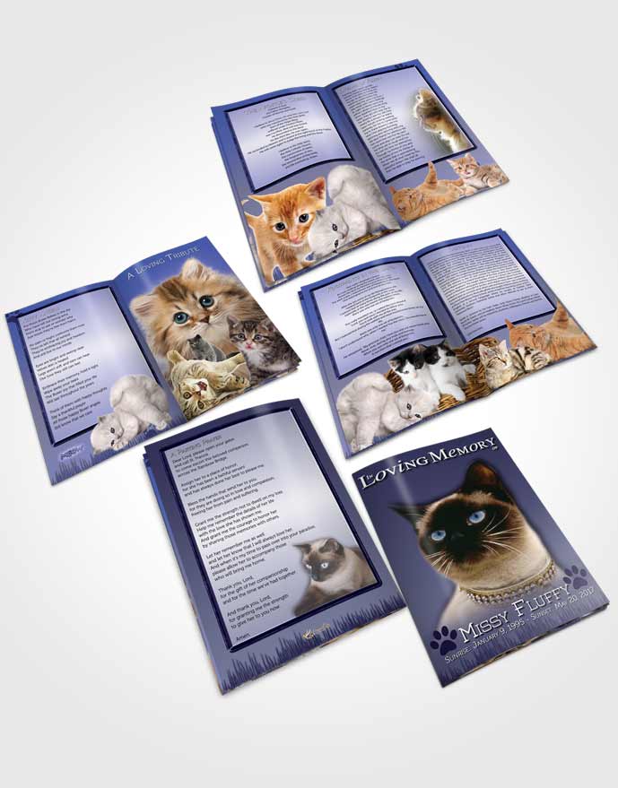 Booklet Memorial Folder Sky Blue Fluffy Kitty