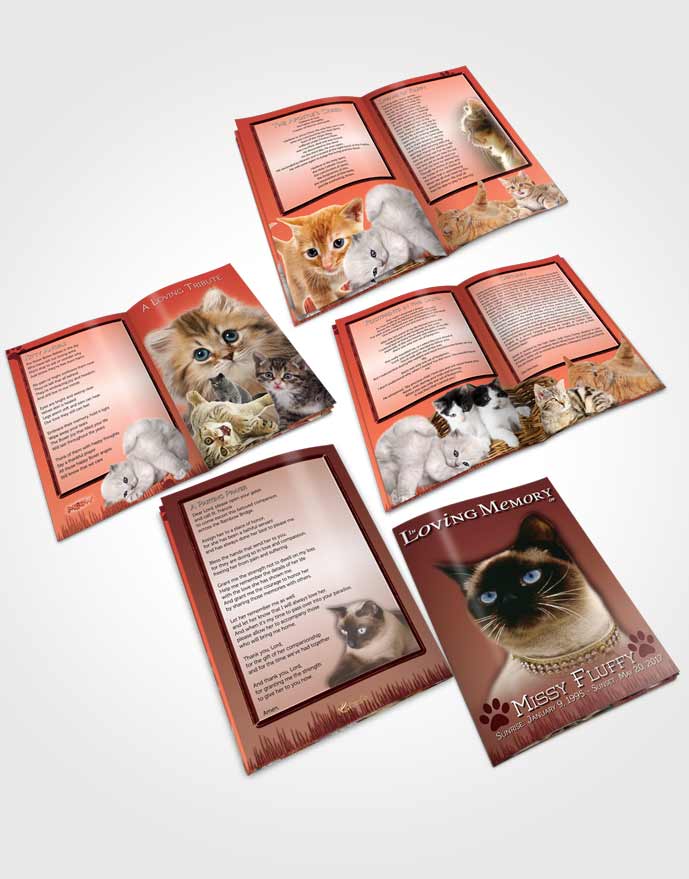 Booklet Memorial Folder Strawberry Fluffy Kitty