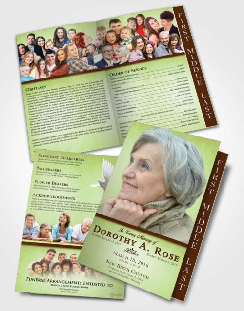 2 Page Graduated Step Fold Funeral Program Template Brochure Composed Tolerance