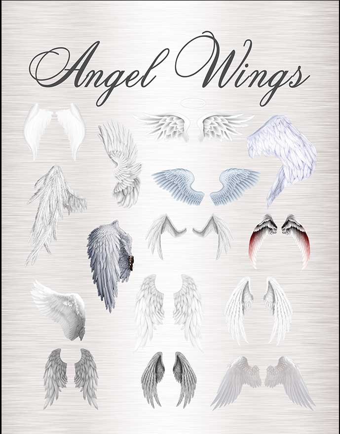 Angel Wings Graphic Images Business Kit