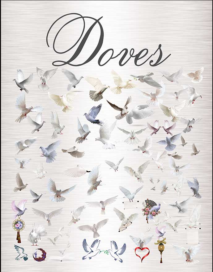 Doves Graphic Images Business Kit