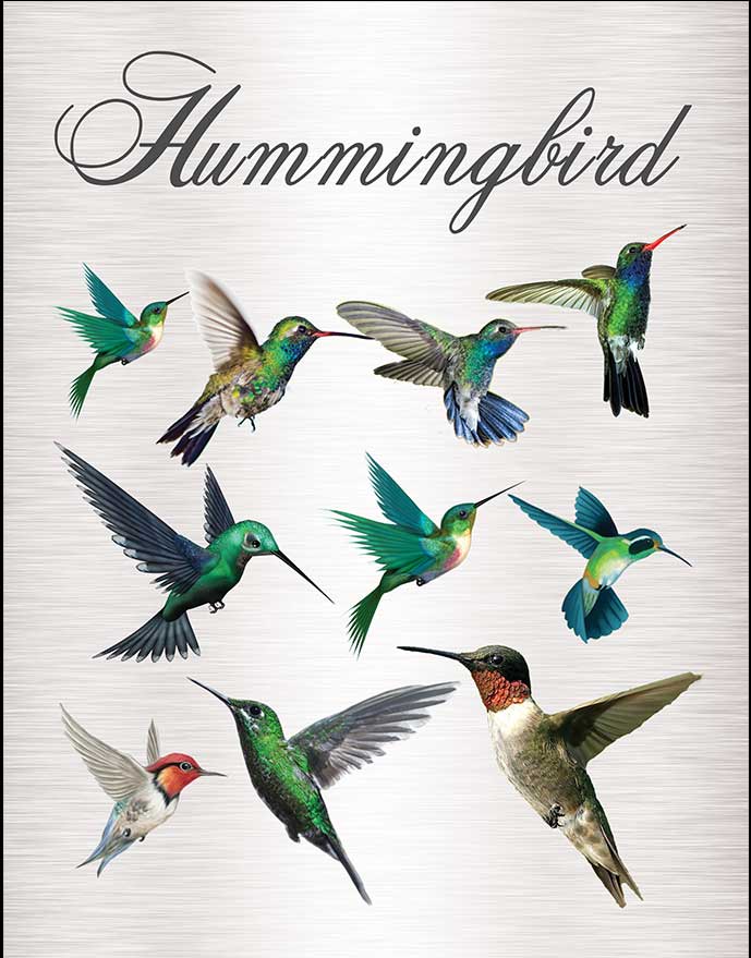 Hummingbird Images Business Kit
