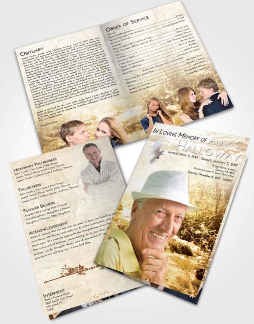 Bifold Order Of Service Obituary Template Brochure Golden Silver Stream