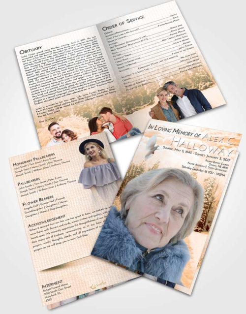 Bifold Order Of Service Obituary Template Brochure Soft Dusk Snow Garden