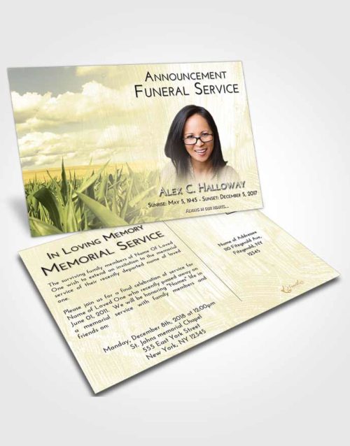 Funeral Announcement Card Template At Dusk Grassland