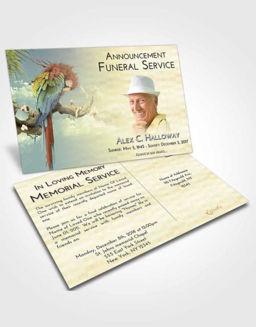 Funeral Announcement Card Template At Dusk Magical Parrot