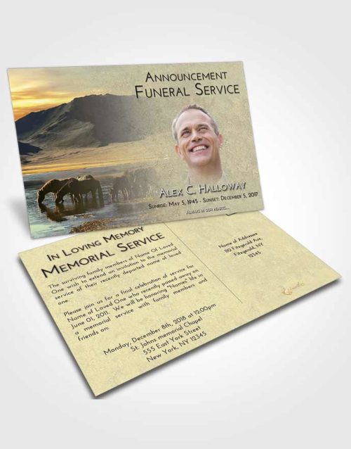 Funeral Announcement Card Template At Dusk Watering Hole