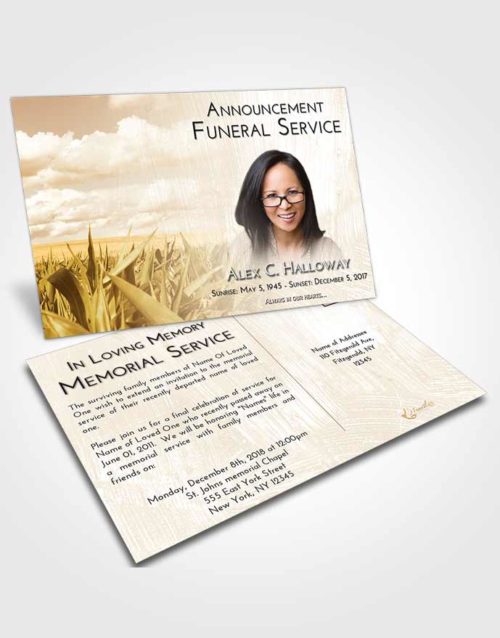 Funeral Announcement Card Template Golden Grassland