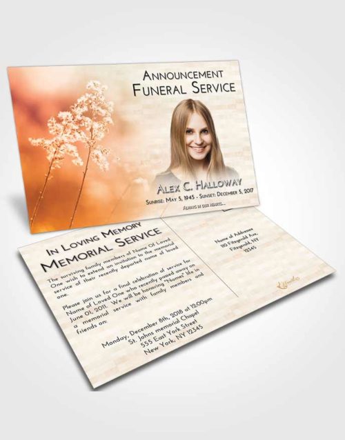 Funeral Announcement Card Template Golden Peach Colorful Spring