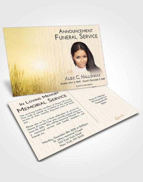Funeral Announcement Card Template Golden Soft Wheat