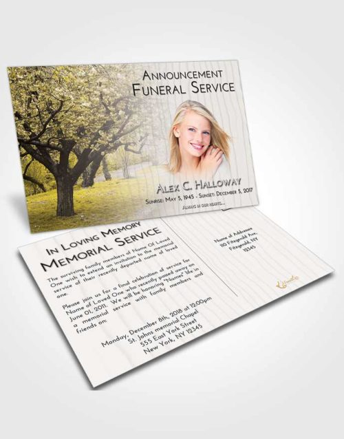 Funeral Announcement Card Template Harmony Flowering Path