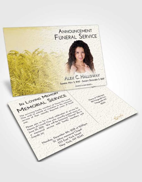 Funeral Announcement Card Template Harmony Summer Wheat