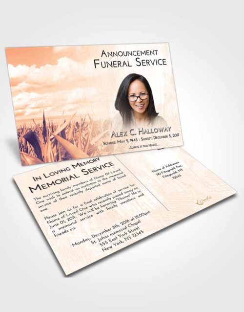 Funeral Announcement Card Template Lavender Sunset Grassland