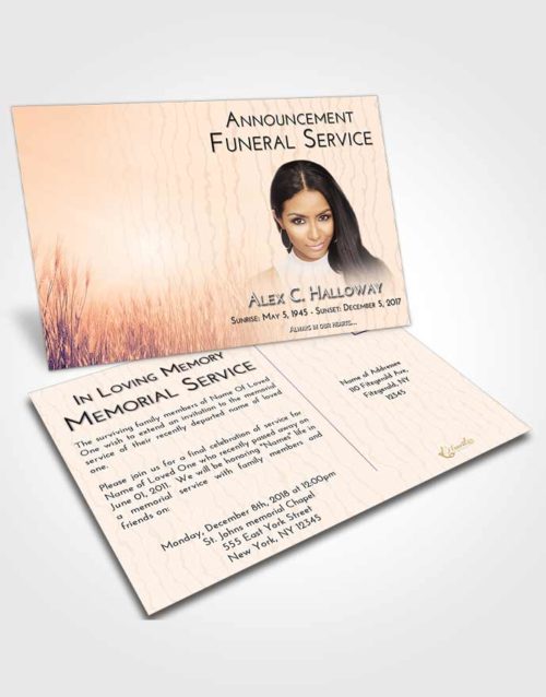 Funeral Announcement Card Template Lavender Sunset Soft Wheat